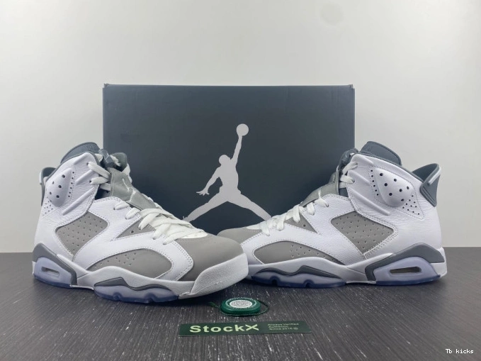 Reps TBK Air Jordan Grey CT8529-100 6 Cool 0706